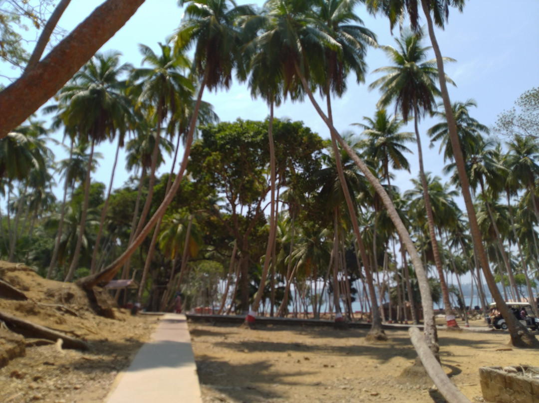 Netaji Subhash Chandra Bose Island景点图片