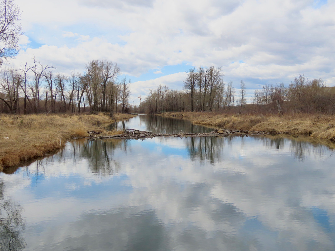 Inglewood Bird Sanctuary and Nature Centre-卡尔加里必去景点