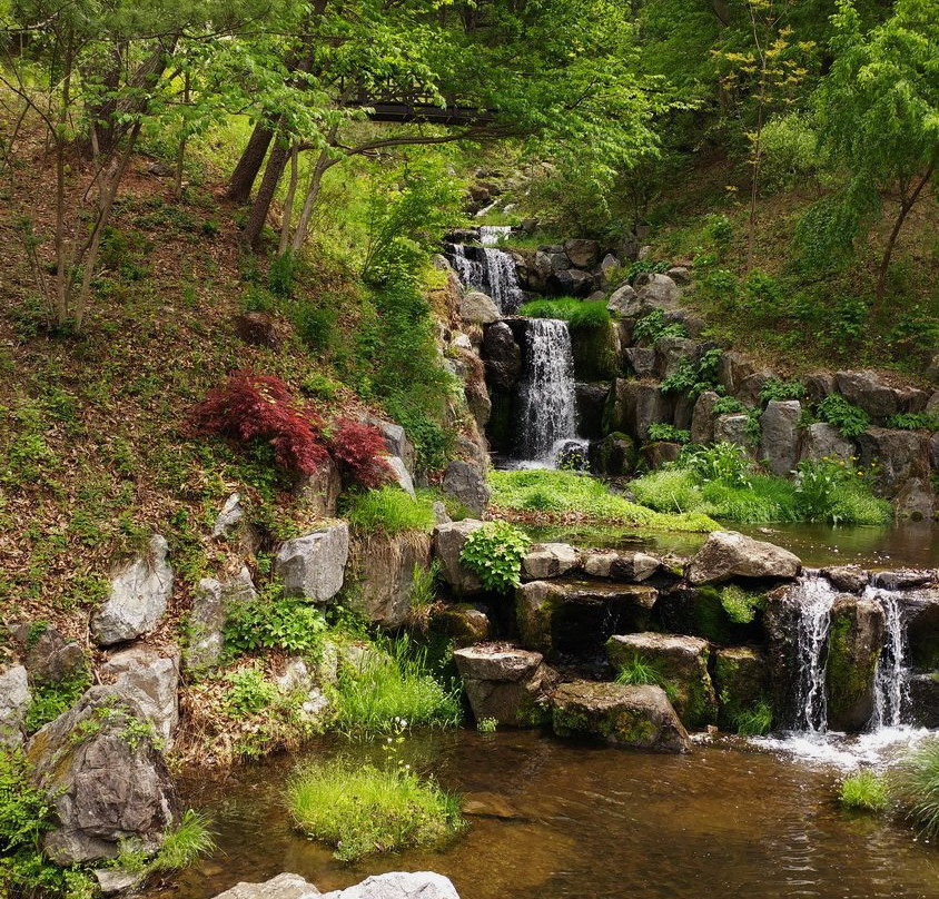 Jade Garden Natural Arboretum-春川市必去景点