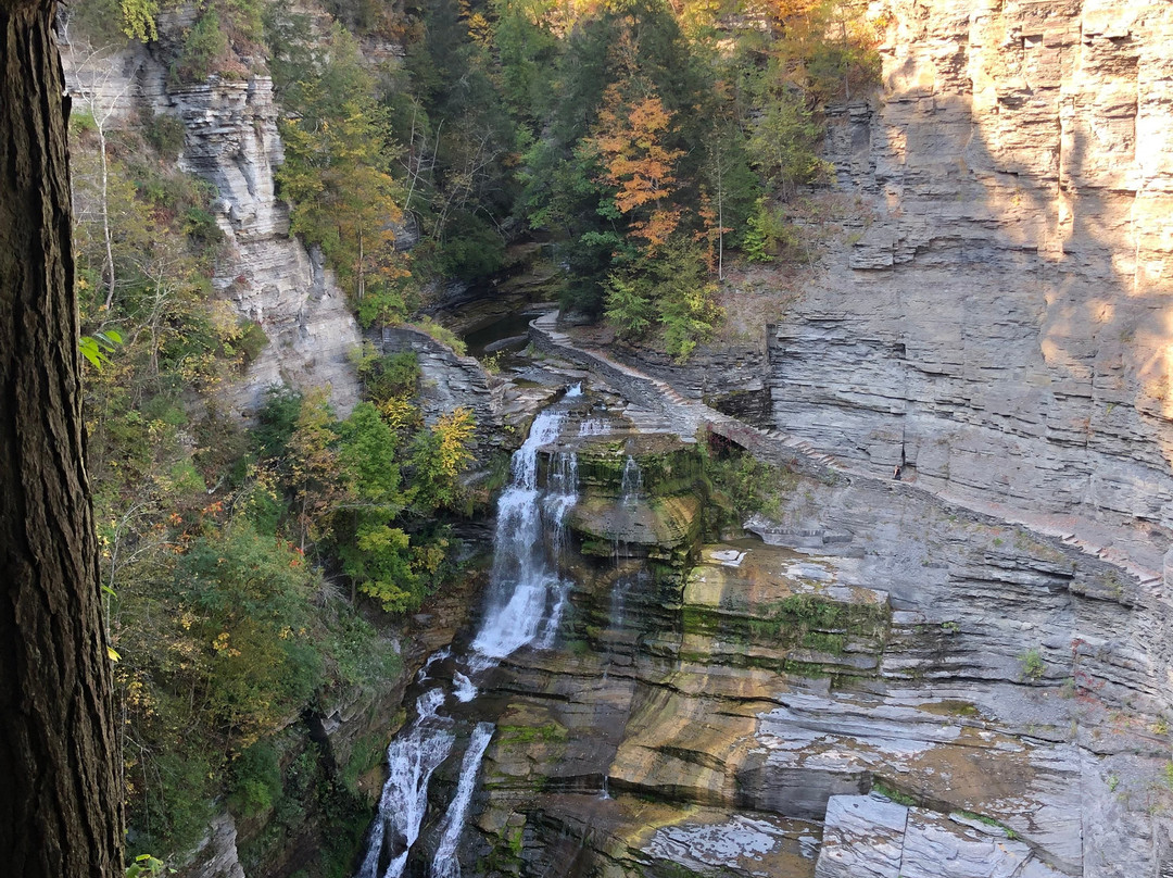 Robert Treman State Park-伊萨卡必去景点