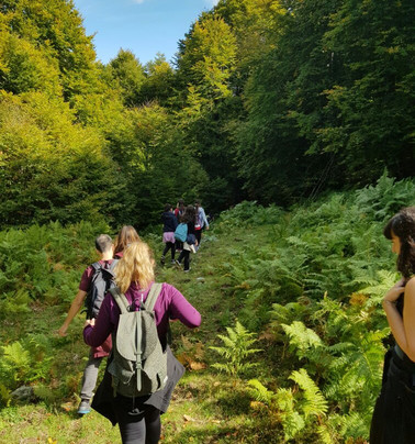 Green Oliver-塞萨洛尼基必去景点