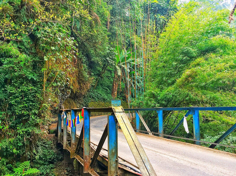 Zippi Trip-甘托克必去景点