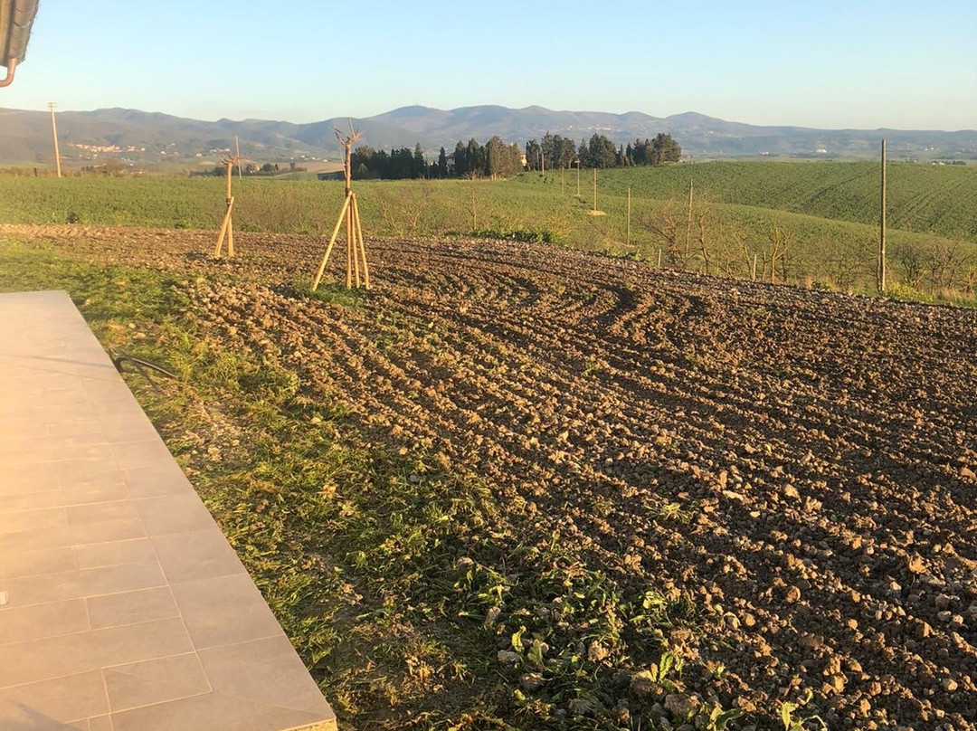 Azienda Agricola Bio Niccolini Paolo-Orciano Pisano必去景点