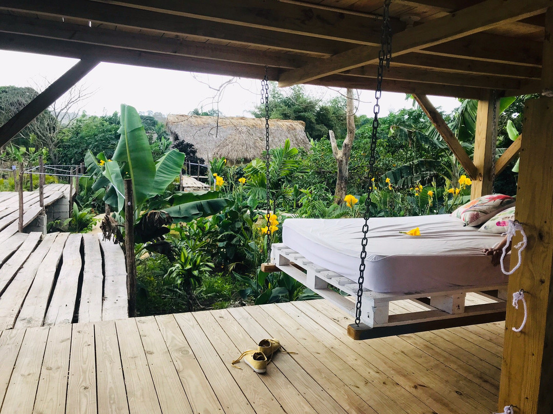 Samana Ecolodge主图