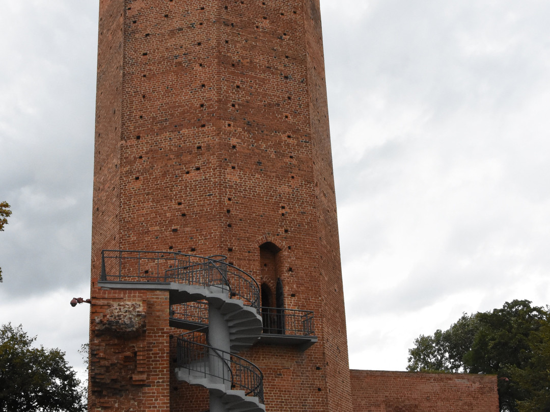 Kruszwica Medieval Castle景点图片