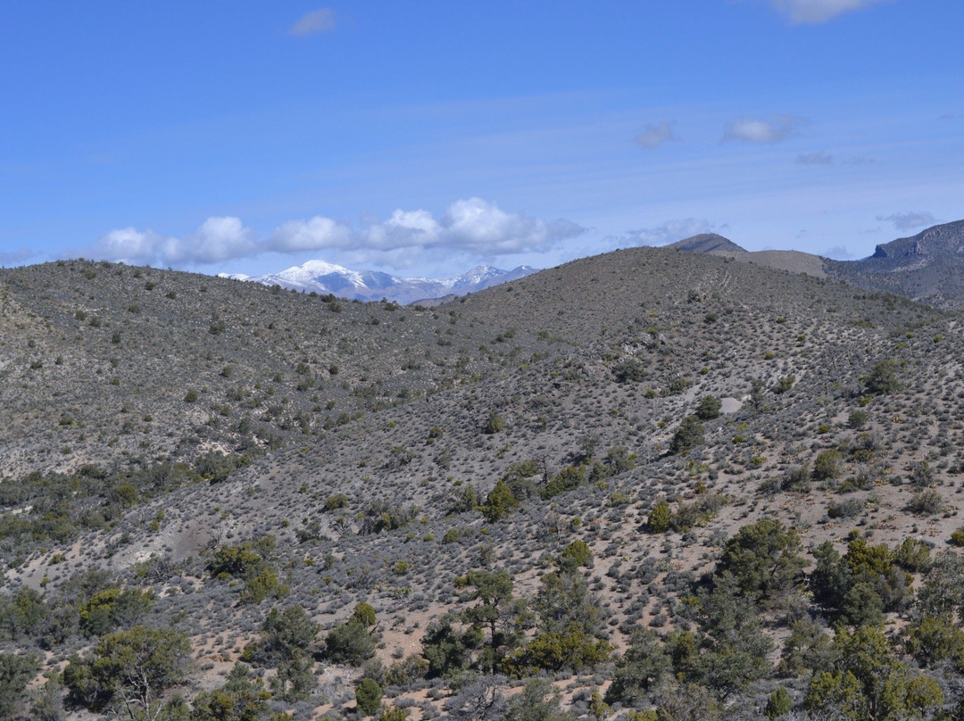 Spring Mountains National Recreational Area-Blue Diamond必去景点