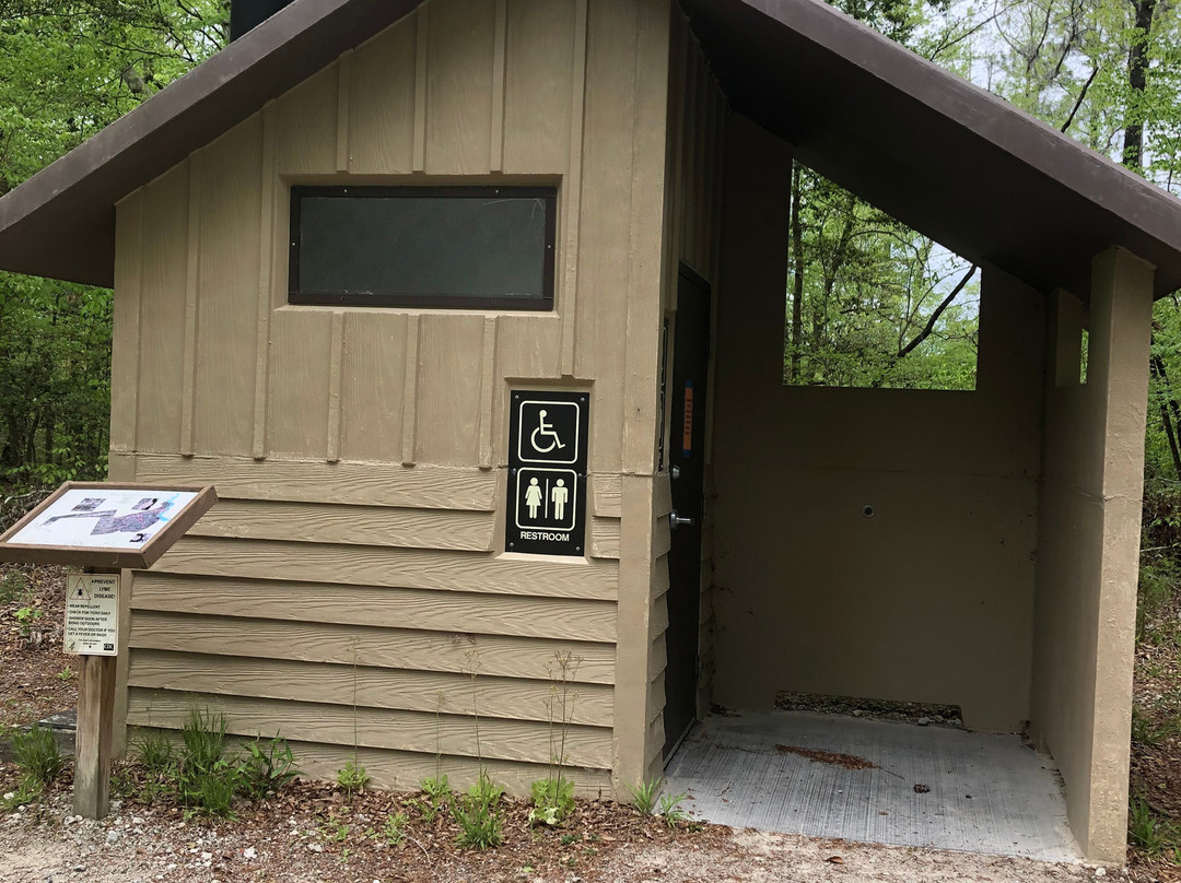 Latham Whitehurst Nature Park-新伯尔尼必去景点