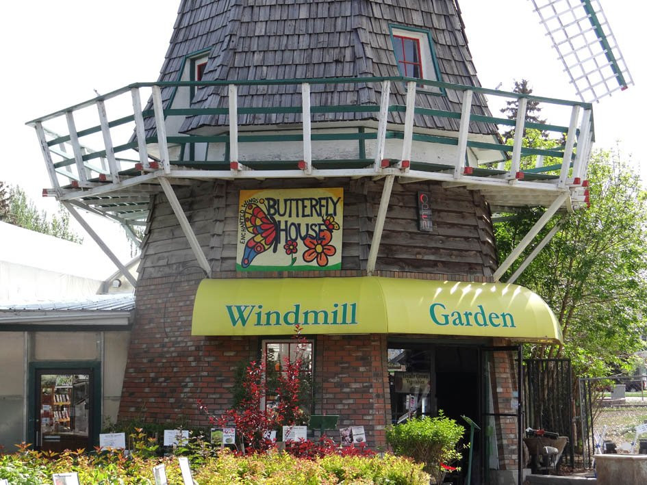 Windmill Garden Centre and Butterfly House景点图片