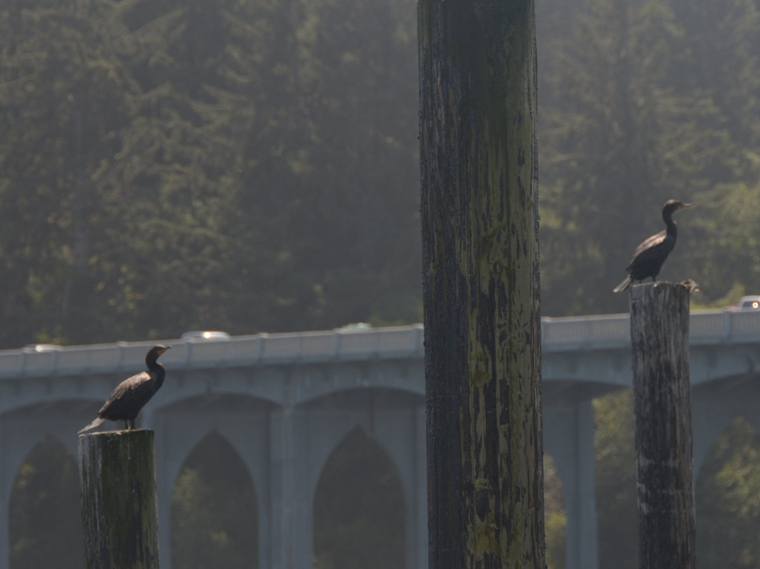 Siuslaw River-弗洛伦斯必去景点