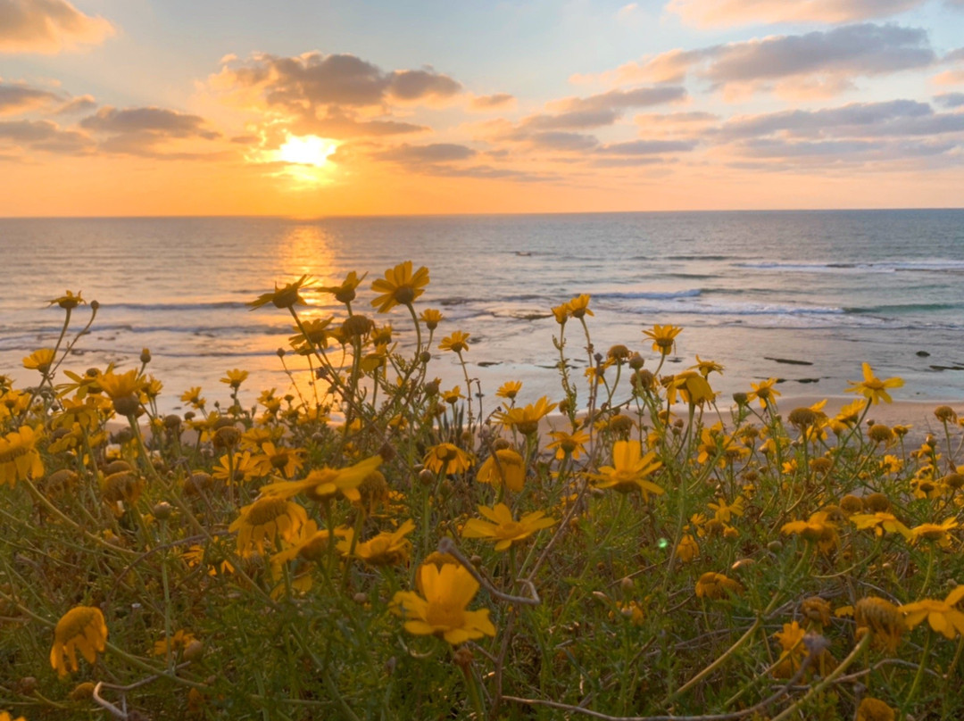 Bat Yam Boardwalk-Tayelet-Bat Yam必去景点