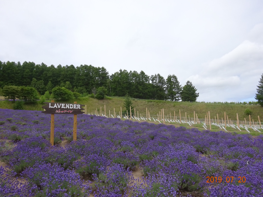 Furano Budogaoka Park-富良野市必去景点
