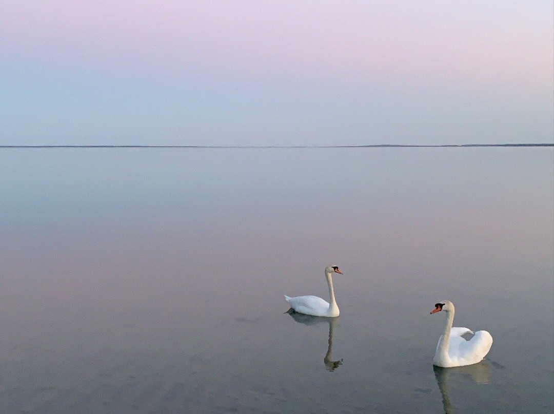 Lake Narach-Minsk Region必去景点