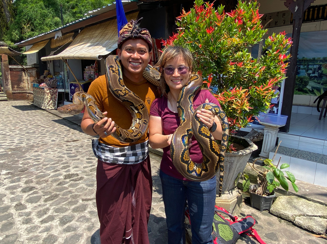 Bali Diamond Tour-巴厘岛必去景点