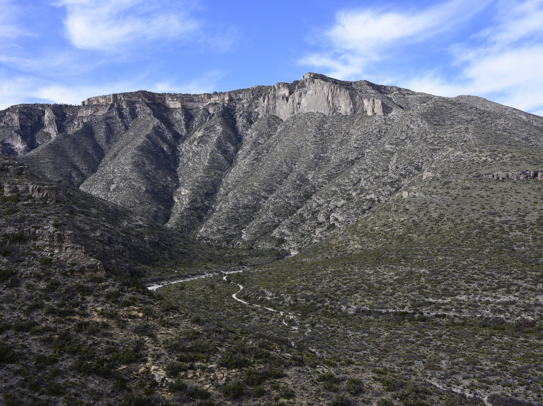 McKittrick Canyon Nature Trail-Guadalupe Mountains National Park必去景点