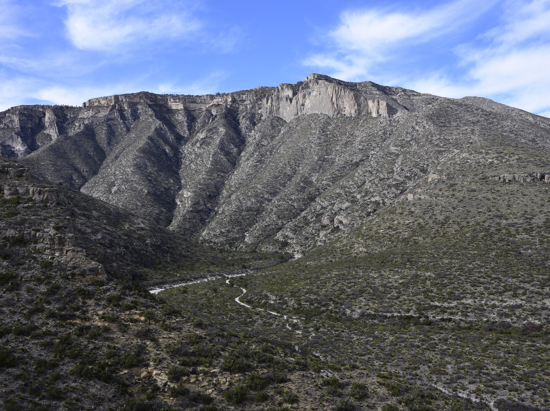 McKittrick Canyon Nature Trail景点图片