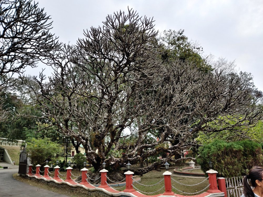 Kangla Fort-因帕尔必去景点