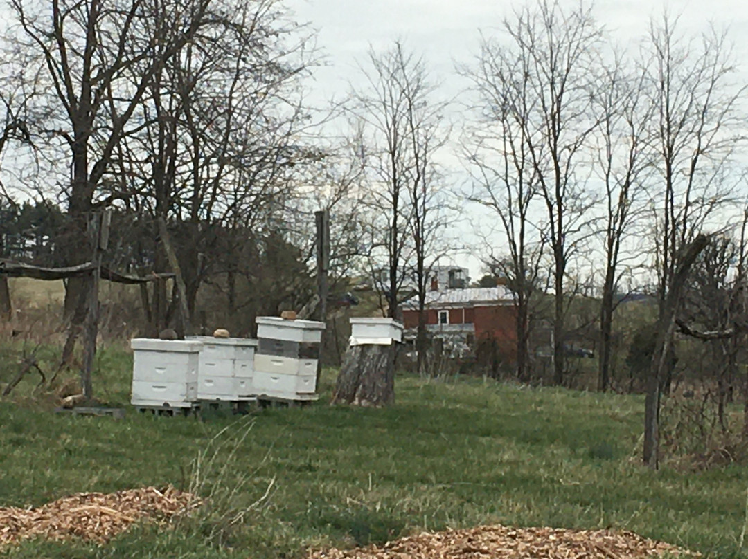 Polyface Farms-Swoope必去景点