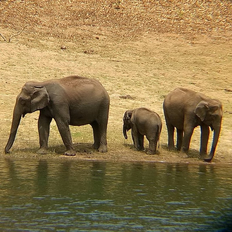 Southern Classic Tours-金奈（马德拉斯）必去景点