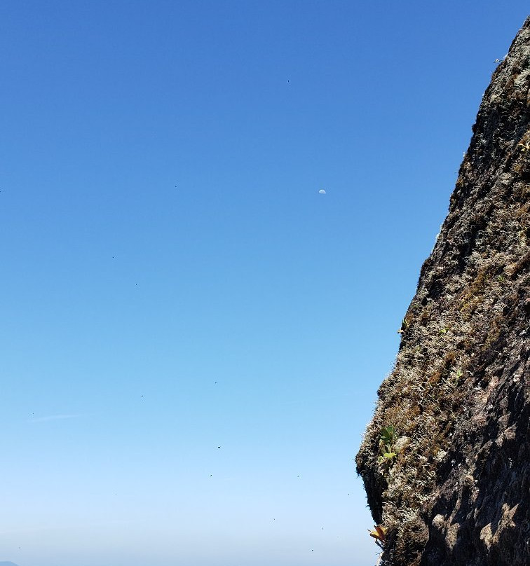 Castelo dos Bugres-Joinville必去景点