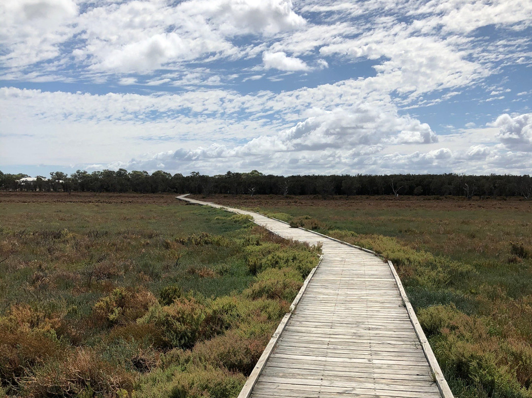 Creery Wetlands Nature Reserve景点图片