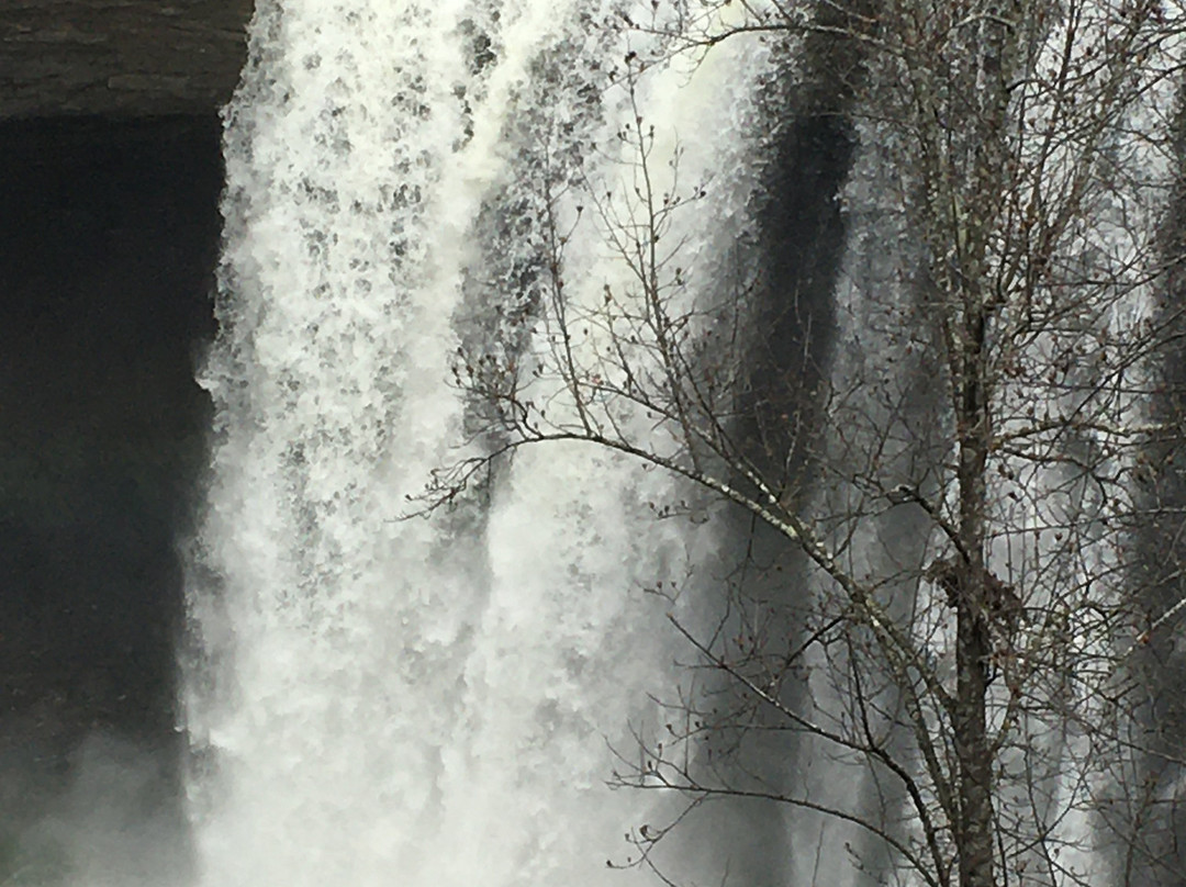 Noccalula Falls Park & Campground景点图片