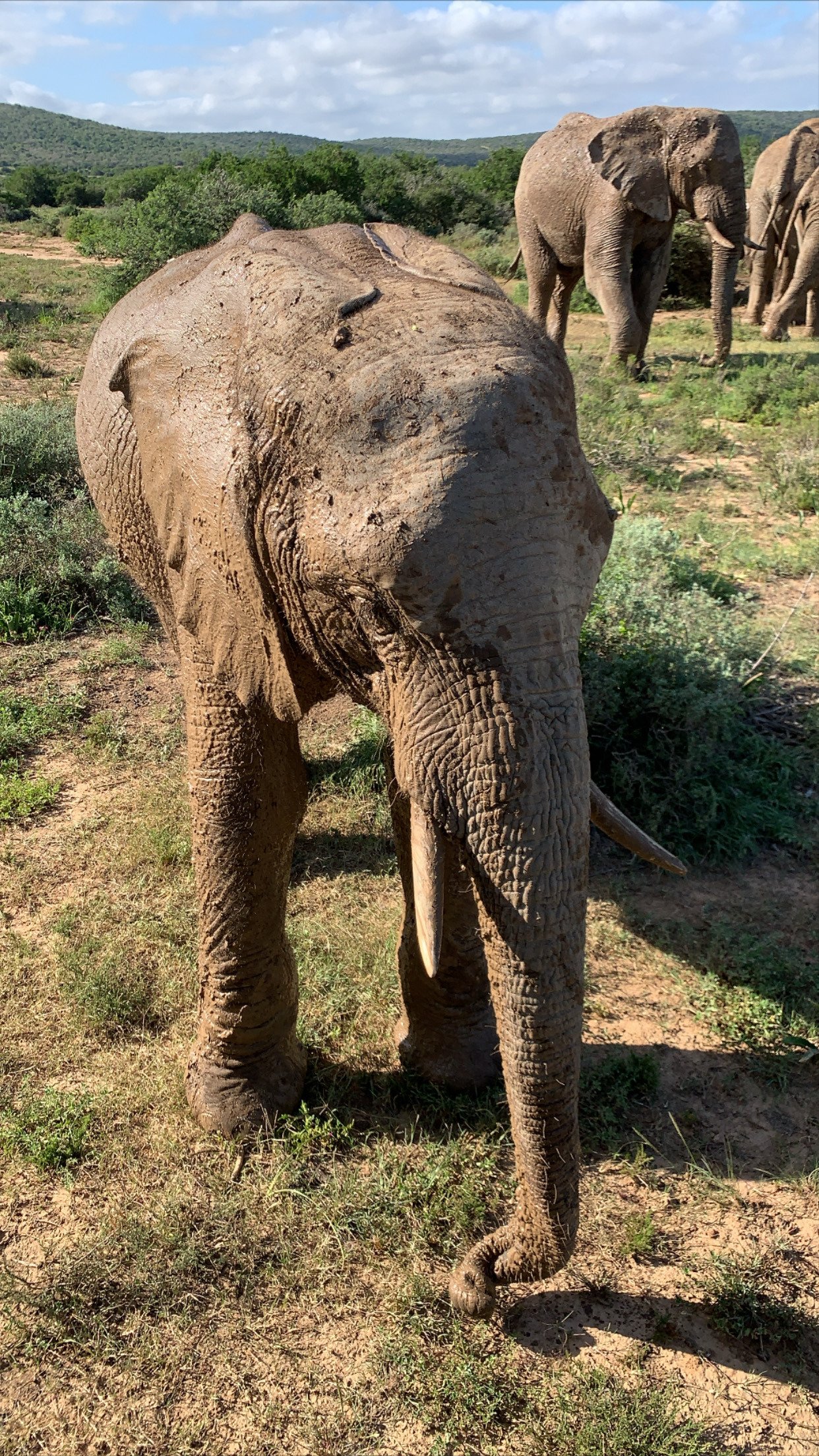 Eagles Crag Lodge-浴室