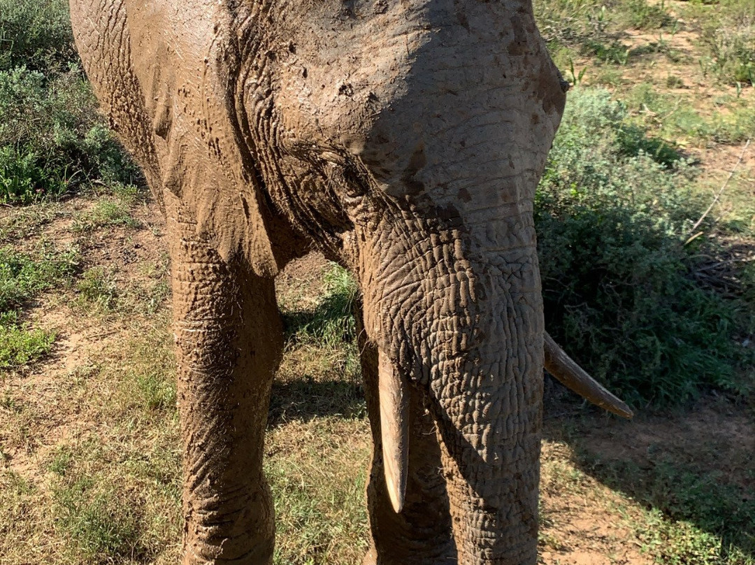 Eagles Crag Lodge主图