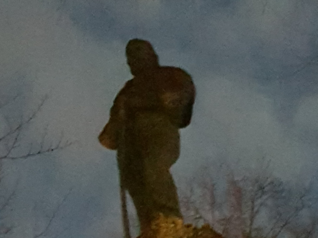 Statua di Giuseppe Garibaldi-帕维亚必去景点