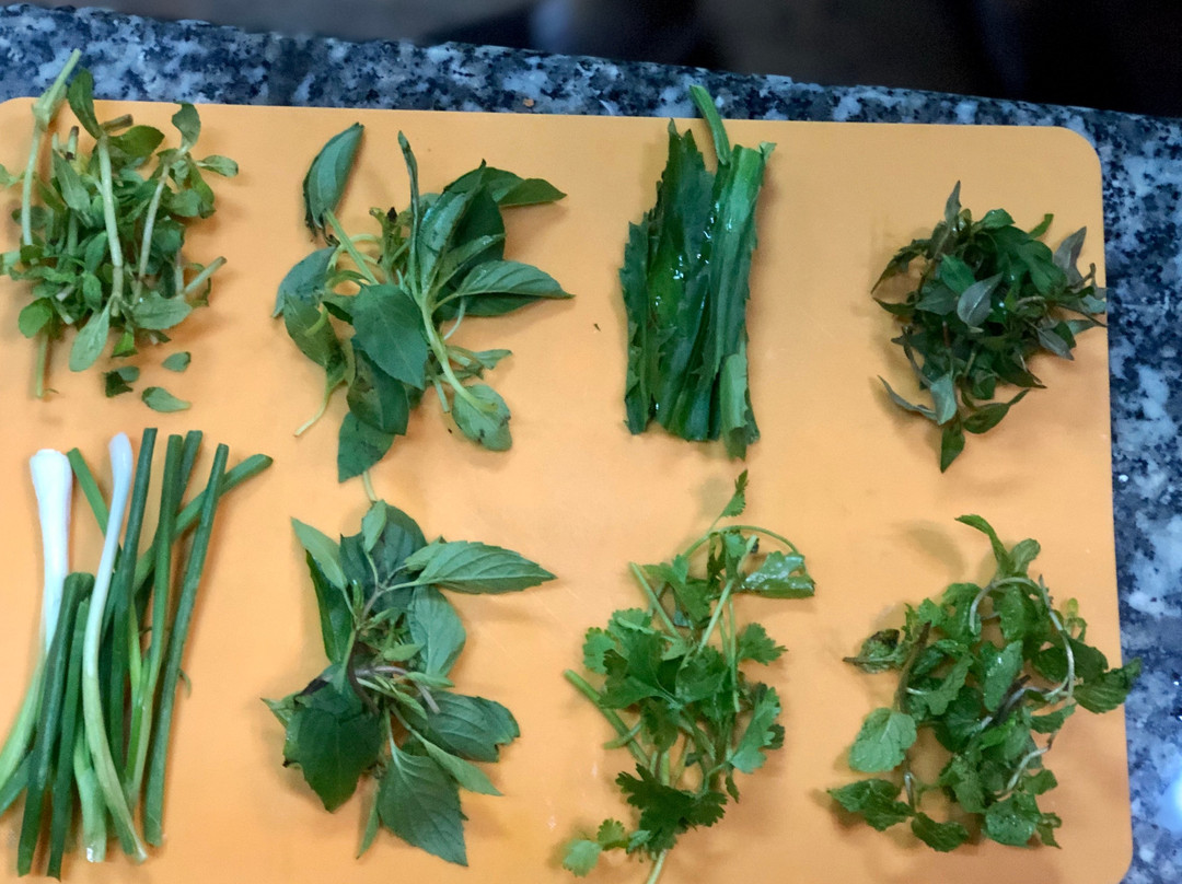 Green Mango Cooking School-会安必去景点