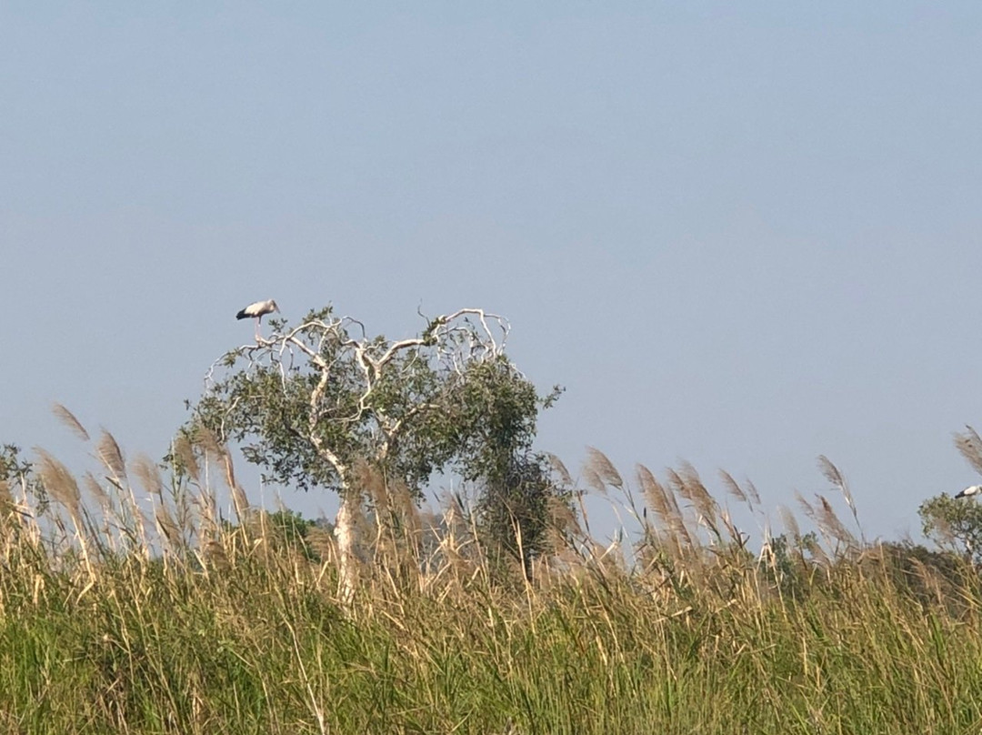 Rayong Botanical Garden-查蓬必去景点