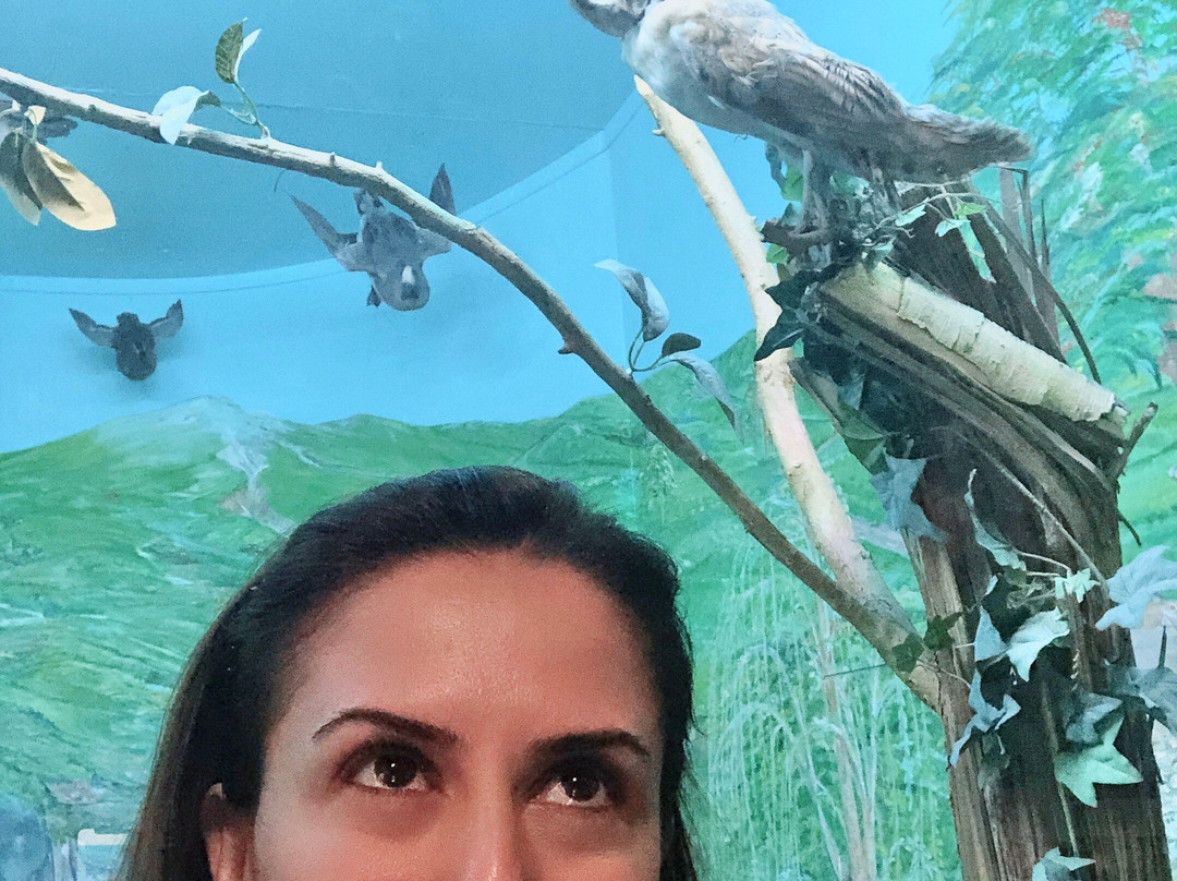 Edirne Archeology Museum-Edirne必去景点