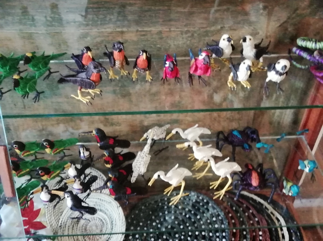 Casa de Fierro景点图片