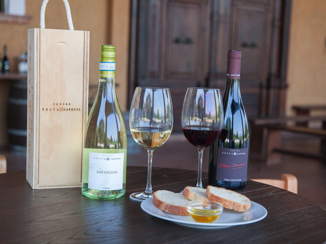 Winery Podere Selva Capuzza景点图片