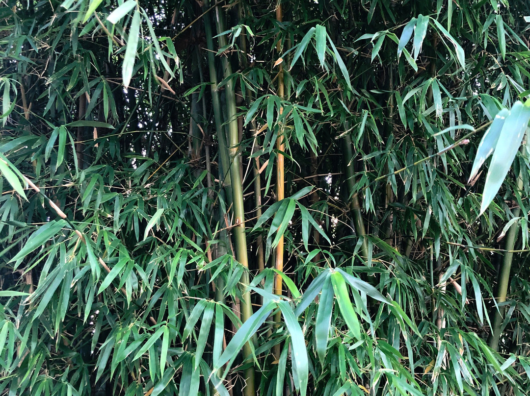 Aguila Grande Fuera del Tiempo Park