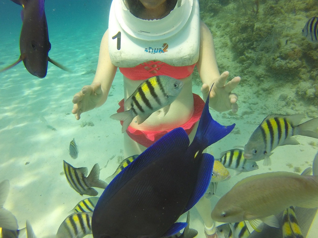 Aquanautas-圣安德烈斯必去景点