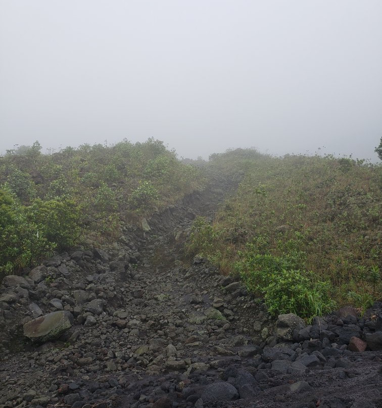 La Fortuna Arenal Volcano Rain Forest Reserve-福德圣卡洛斯必去景点