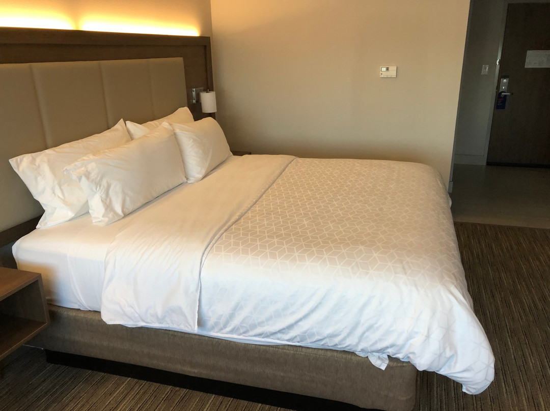 Holiday Inn Express & Suites Denton South By IHG
