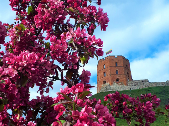 MiliExplo-维尔纽斯必去景点