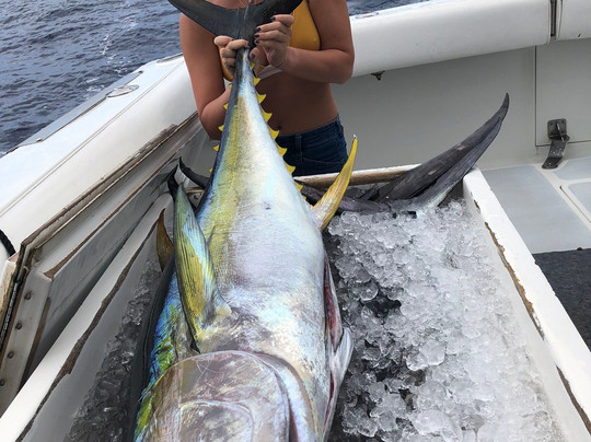 Magic Sport Fishing-火奴鲁鲁必去景点