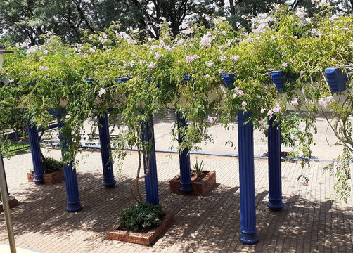 Praça Caetano Uggeri-Entre-Ijuis必去景点