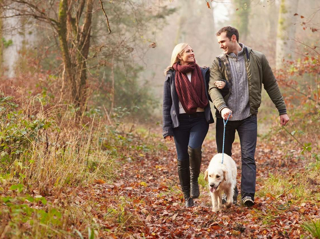 Relax Inn Westminster主图