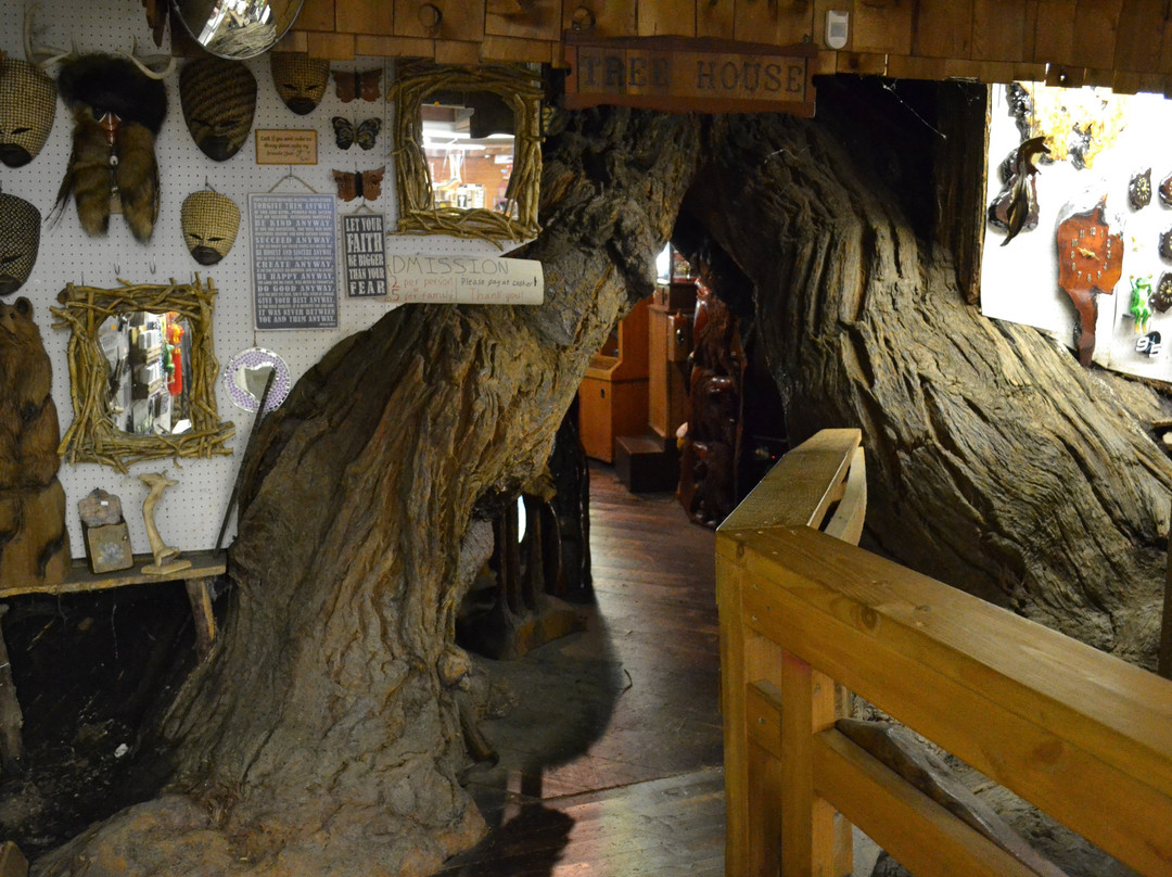 World Famous Tree House景点图片