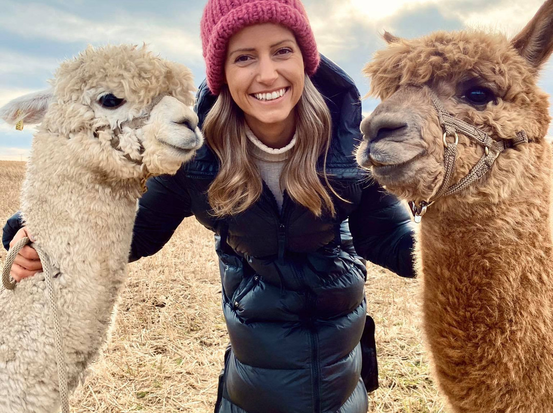 The Alpaca Farm-Aurskog-Holand Municipality必去景点
