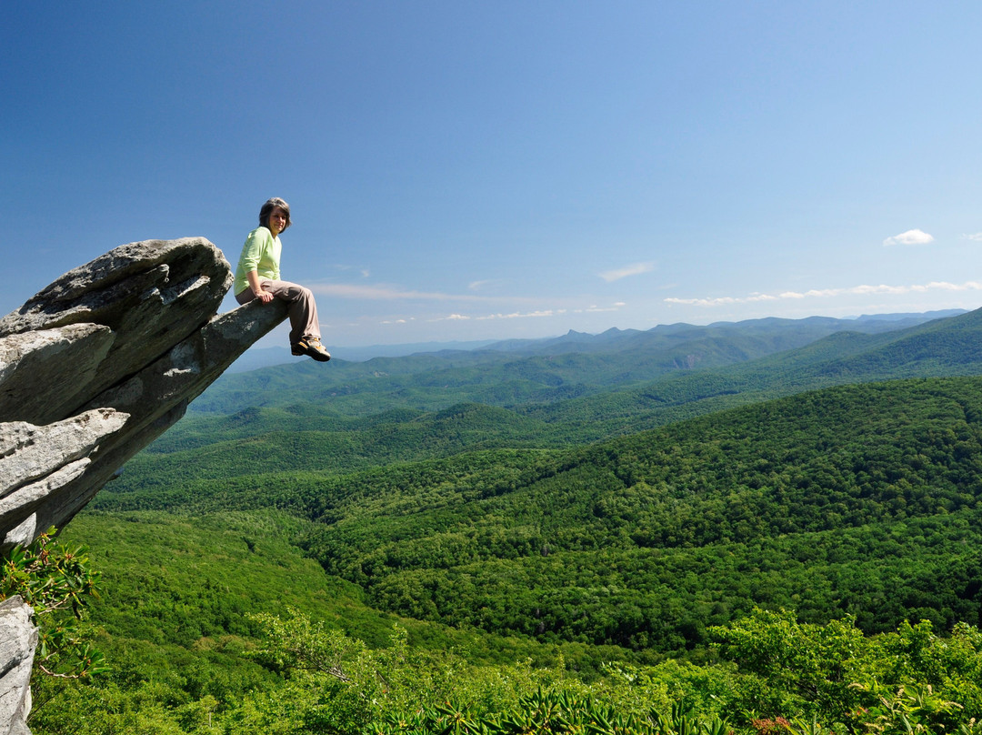 Rough Ridge Lookout景点图片