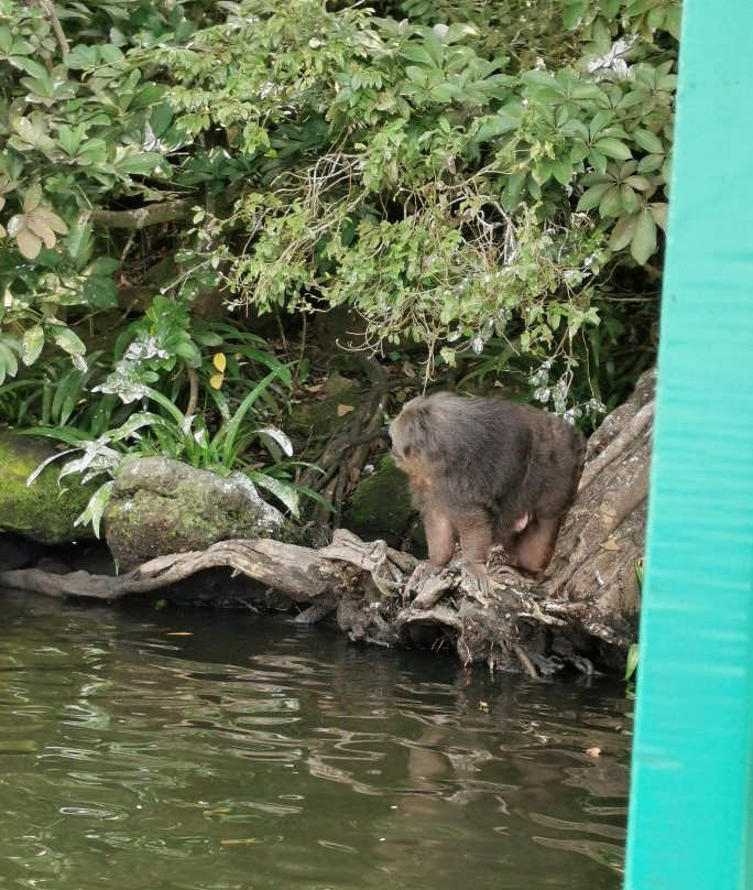 Catemaco Lake景点图片
