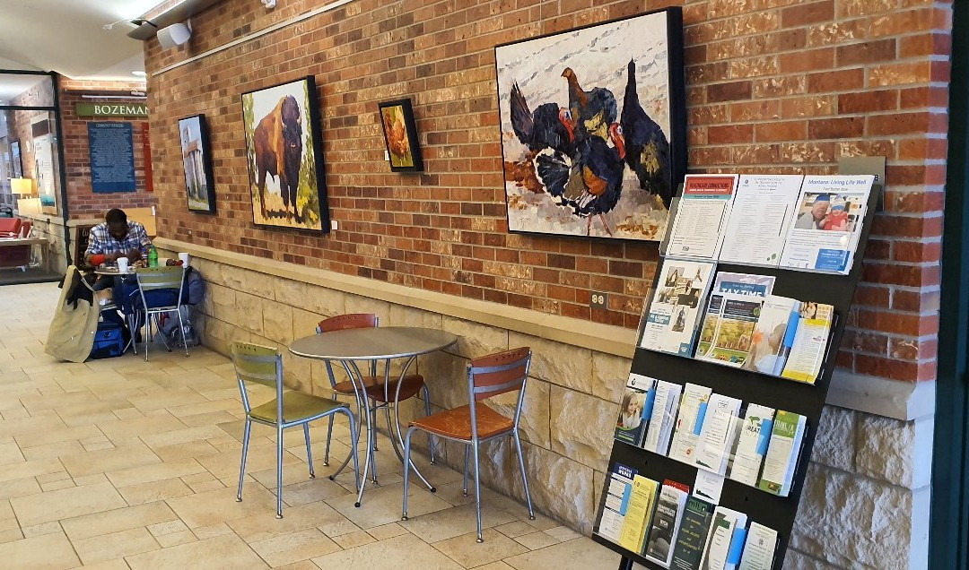 Bozeman Public Library-博兹曼必去景点
