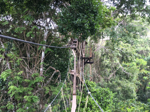 Peru Amazon Eco Adventure-伊基托斯必去景点