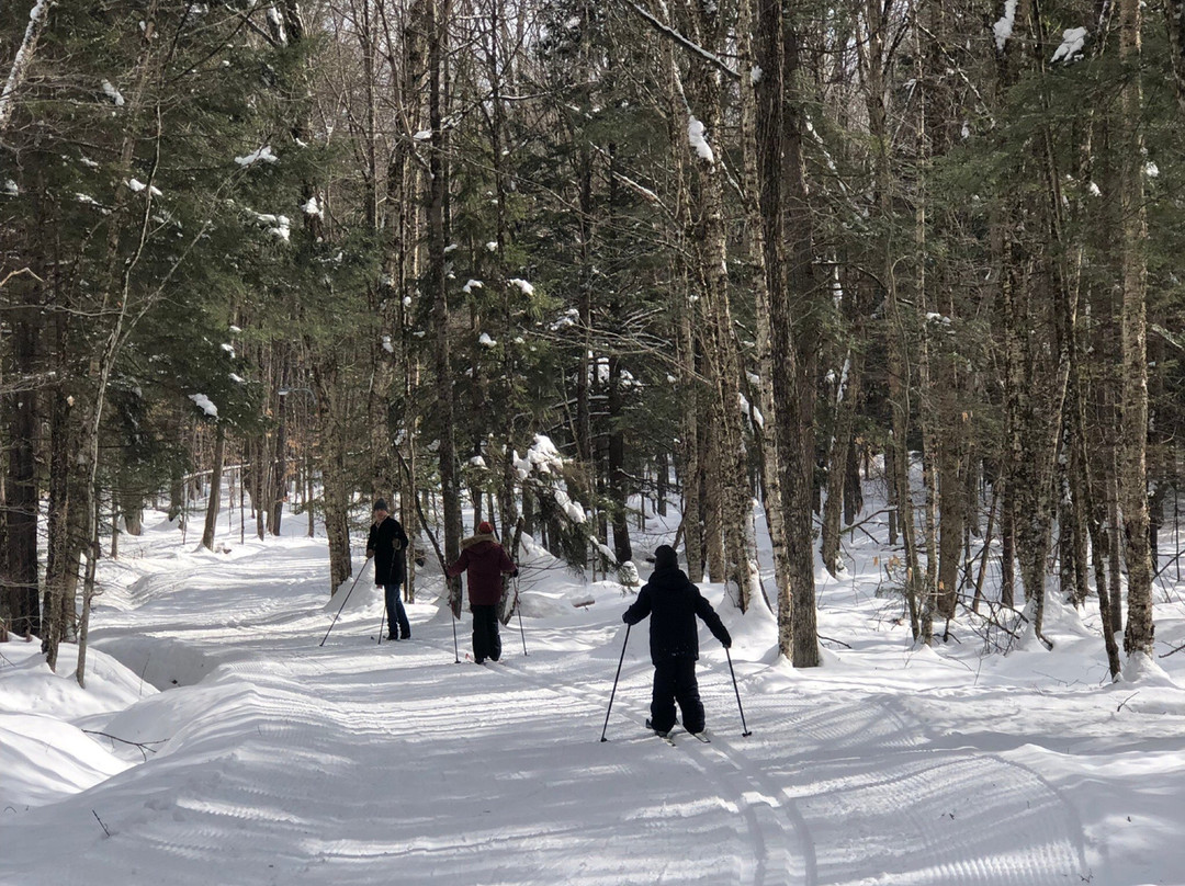 Lapland Lake Cross Country Ski Center-Northville必去景点