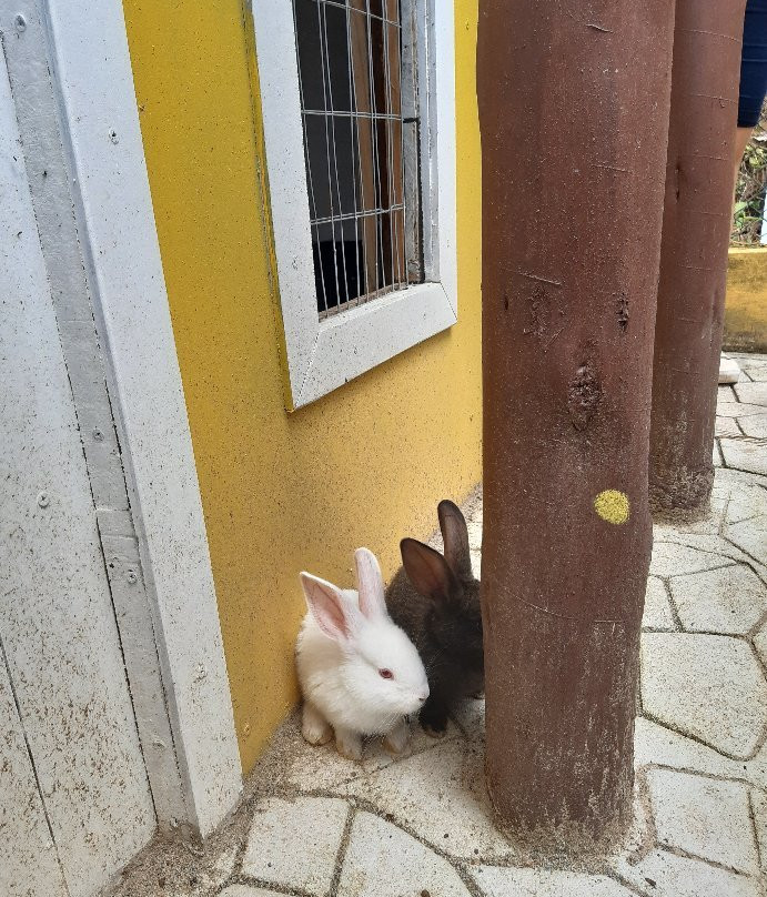 Vila dos Coelhos-Cotia必去景点