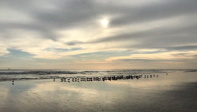 戴通纳舒尔海滨希尔顿恒庭酒店主图